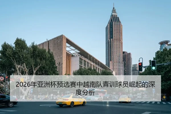 2026年亚洲杯预选赛中越南队青训球员崛起的深度分析