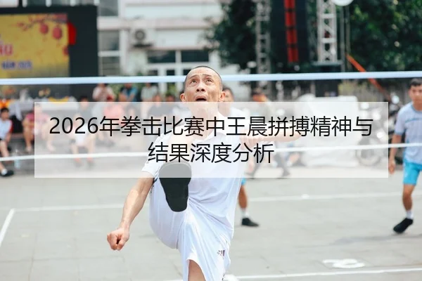 2026年拳击比赛中王晨拼搏精神与结果深度分析
