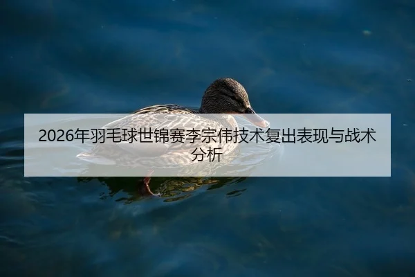 2026年羽毛球世锦赛李宗伟技术复出表现与战术分析