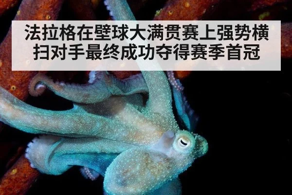 法拉格在壁球大满贯赛上强势横扫对手最终成功夺得赛季首冠