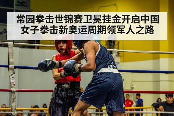 boxing match ring