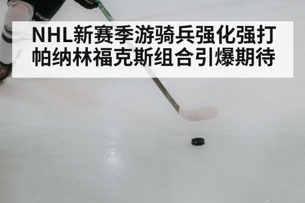 NHL新赛季游骑兵强化强打 帕纳林福克斯组合引爆期待