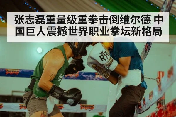张志磊重量级重拳击倒维尔德 中国巨人震撼世界职业拳坛新格局