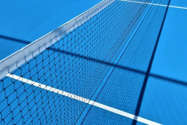 ATP东京站鲁德硬地状态深度全面观察 参赛选择及竞技信号